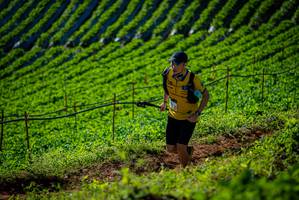 BIB: 
                            <button type="button" onclick="openModal(19161044)" class="btn btn-primary btn-sm float-right btn-popup" data-toggle="modal" data-target=".modal-high-quality">
                        <i class="fas fa-shopping-cart"></i> Add to Cart
                    </button>
                                            <button type="button" onclick="isThisMe(19161044, true)" class="btn btn-success btn-sm float-right btn-popup btn-isme hidden" data-toggle="tooltip" data-placement="bottom" title="นี่คือรูปของคุณใช่ไหม คลิกที่นี่เพื่อเอาเข้าอัลบั้ม">
                        <i class="fas fa-plus"></i> Add to album
                    </button>
                    <button type="button" onclick="isThisMe(19161044, false)" class="btn btn-warning btn-sm float-right btn-popup btn-isnotme hidden">
                        <i class="fas fa-ban"></i> Remove from album
                    </button>